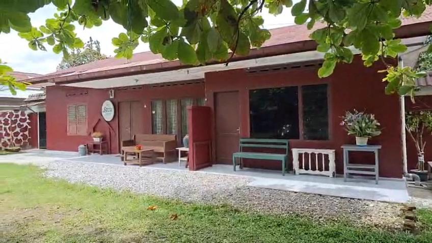 Brussels Homestay באליג'ה מראה חיצוני תמונה